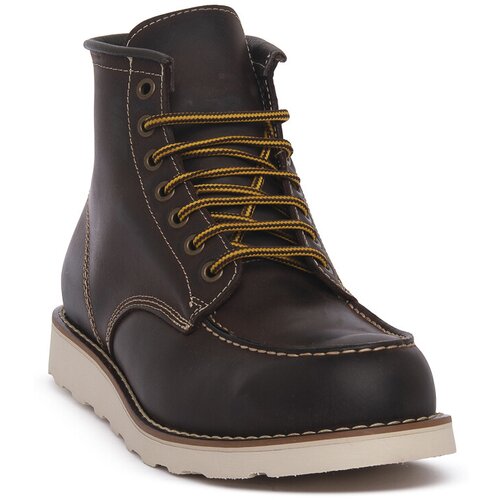 Priv Lab Polškornji RED MORO VASSA Kostanjeva Cene