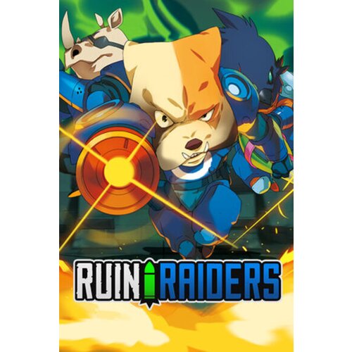 Steam Ruin Raiders (PC) Key EUROPE Cene