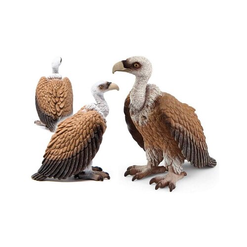  14847 - Wild Life - jastreb Cene