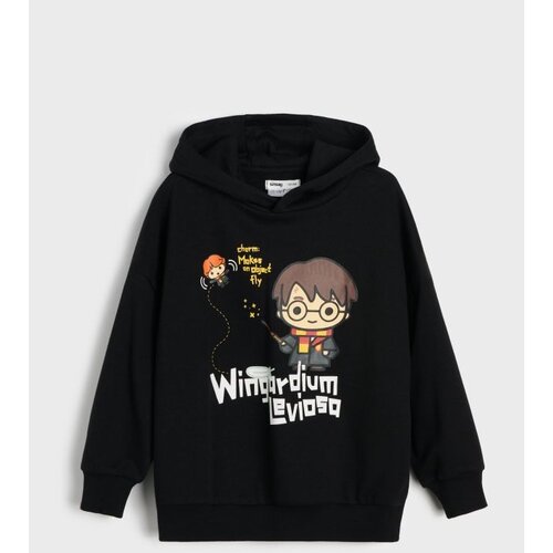 Sinsay Oversize hoodie s printom Harry Potter Cijene