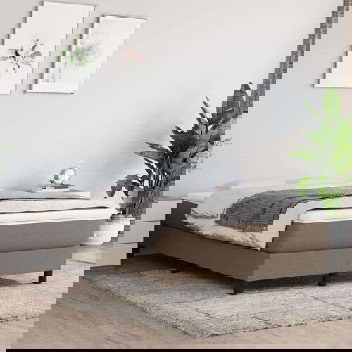  Box spring posteljni okvir taupe 120x200 cm blago, (20736617) Cene
