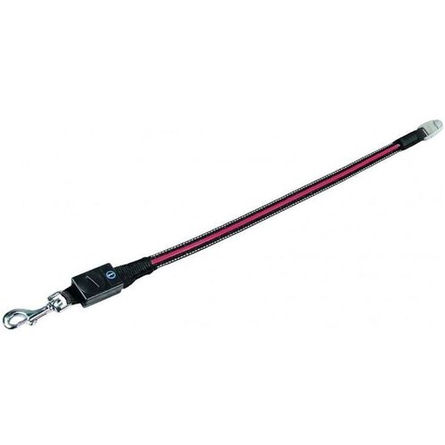 Flexi povodec za pse Vario LED Flash Belt Leash S/M, rdeča Slike