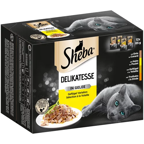 Sheba Selection in Sauce vrećice mega pakiranje 24 x 85 g - Delicato in Jelly perad