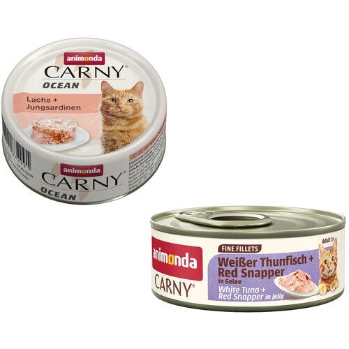  12 x 80 g animonda Carny Ocean + 60 g Animonda Carny u želeu gratis! - Losos i mlade sardine Slike