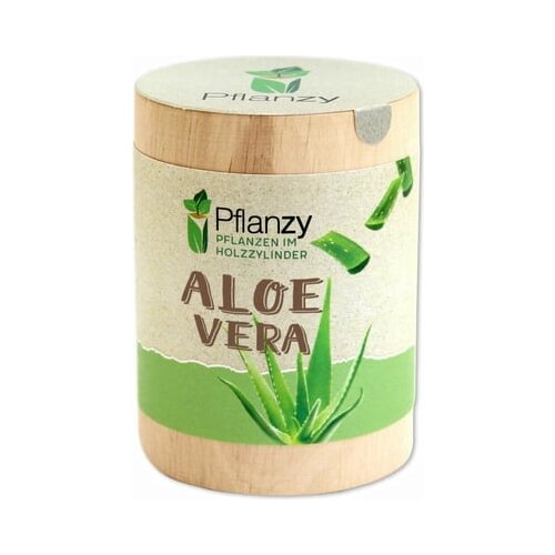 Feel Green Pflanzy "Aloe vera" Cene
