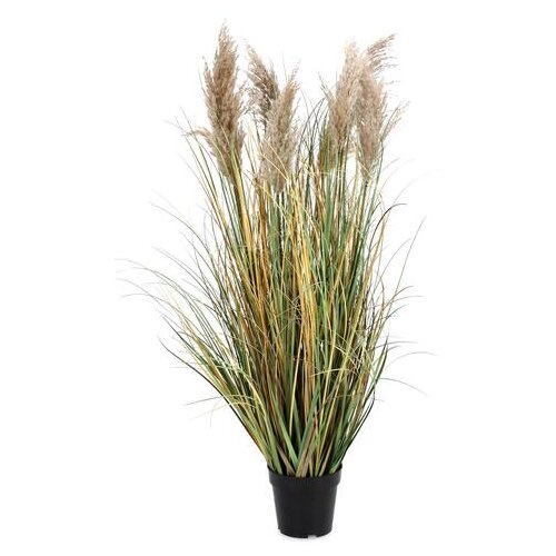  GYNERIUM PAMPAS 120CM Cijene