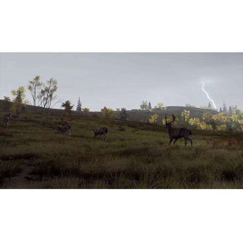 Thq Nordic Of The Hunter Wild Expeditions /PS5 Slike