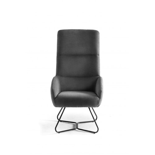 Cameleon Home Art Fotelja Iva, Tamnosiva Cene