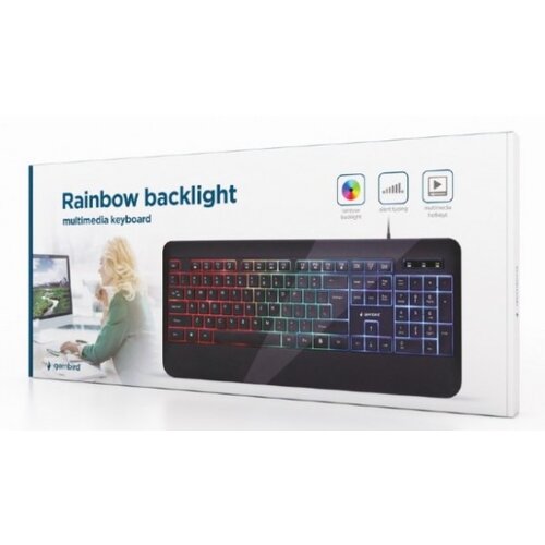 Gembird KB UML 03 Rainbow multimedijalna tastatura sa pozadinskim osvetljenjem, US layout USB Cene