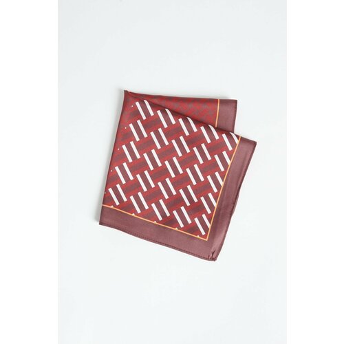 ALTINYILDIZ CLASSICS Men's Claret Red-Red Patterned Handkerchief Slike