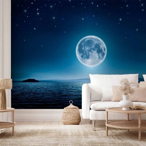  Foto tapeta - Moonlit night 250x175 Standard Cene