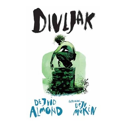 Komiko Dejvid Almond,Dejv Mekin - Divljak Slike