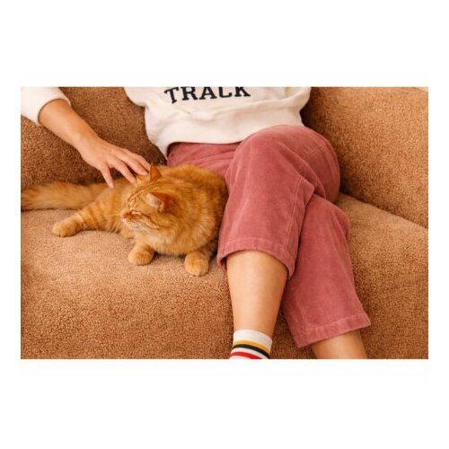 Atelier Del Sofa fotelja wello single orange Slike