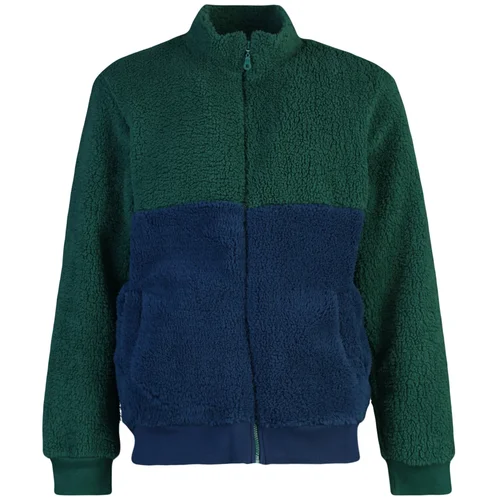 Trendyol Emerald Green Men's Regular Fit Zippered Stand Collar Thick Color Block Sweatshirt