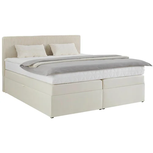 Mömax Postelja Boxspring Rossa, Bež, 160x200