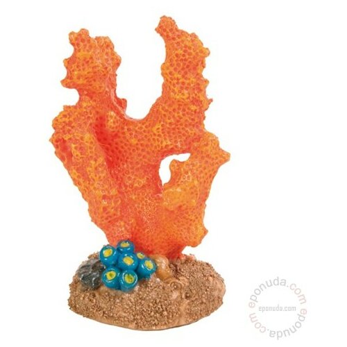 Trixie dekorativni naradžansti koral Slike
