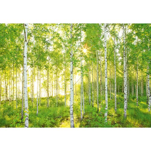 Komar Into Illusions Potiskana tapeta Sunday (4 -del., &amp;Scaron; x V: 368 x 248 cm, Netkan tekstil) Slike