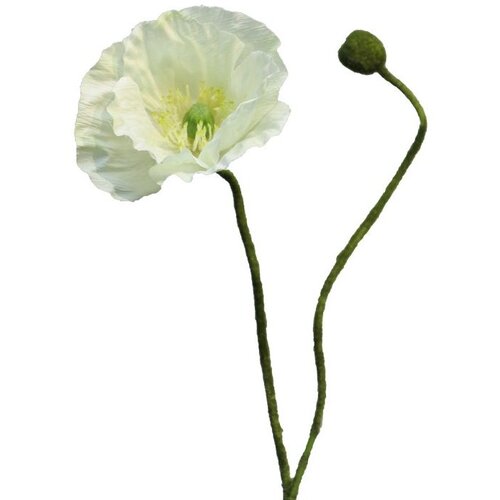 Dekordom cvet RHOEAS 60cm 13218-0 - Cream - NNT Slike