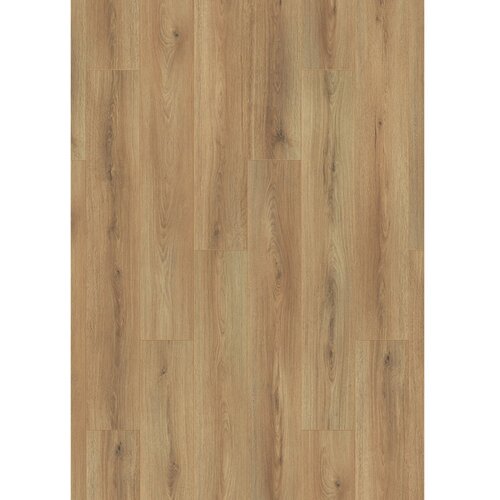  laminat 7+1 mm hrast s talno zvočno izolacijo Cene