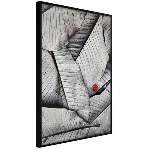  Poster - Touch of Colour 40x60 Slike