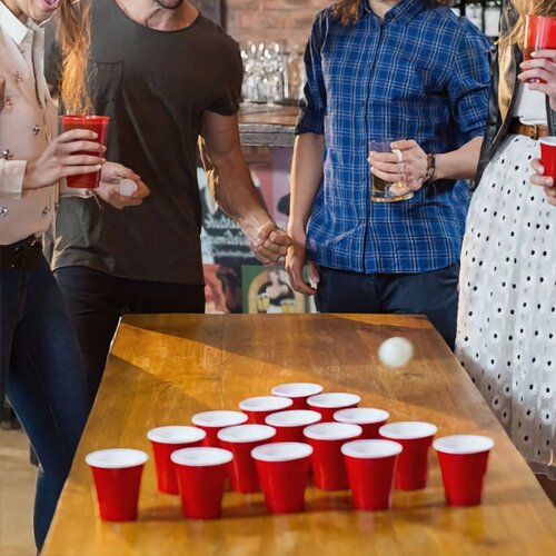  Alkoholna igra BeerPong Cene