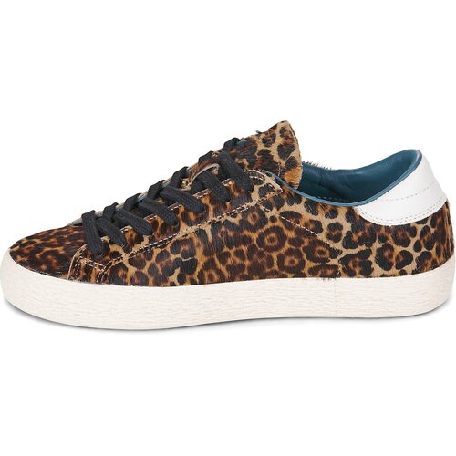 Date Nizke superge HILL LOW ANIMALIER LEOPARD Kostanjeva Slike