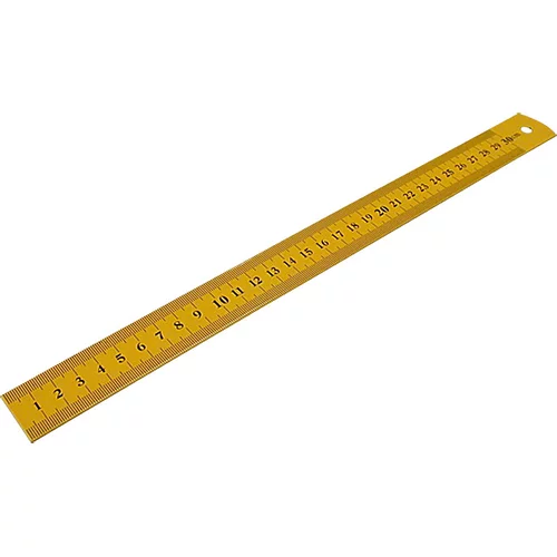 WISENT Jekleno merilo (100 cm)