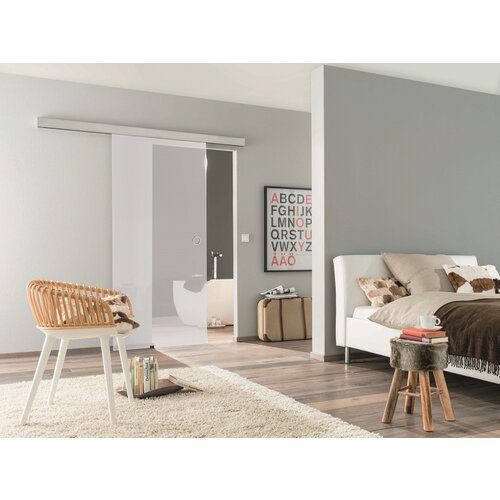 DIAMOND DOORS staklena klizna vrata Smile (900 x 2.058 mm, Sigurnosno kaljeno staklo (ESG)) Slike