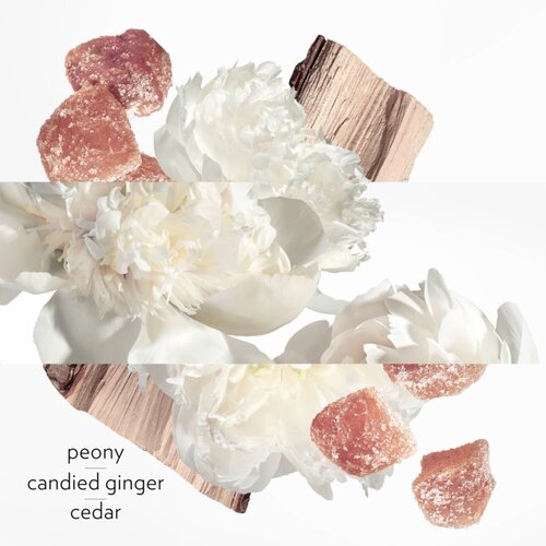 Hermes twilly d&amp;acute;Herm&amp;egrave;s eau ginger parfumska voda 30 ml za ženske Slike