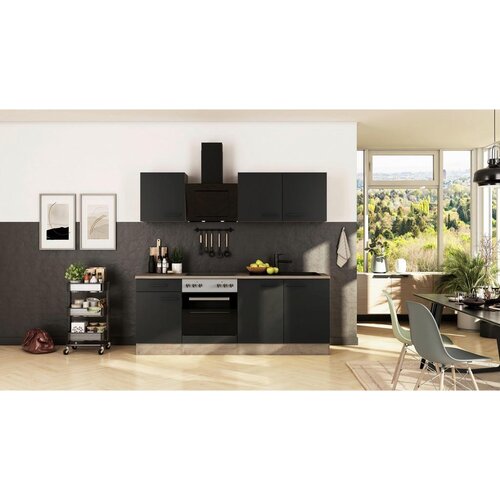 Flex-Well Kuhinjski Blok Z Aparati Capri, Črna, Barva Hrasta Cene