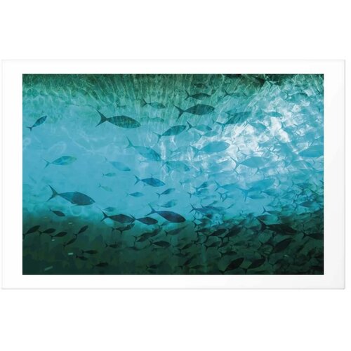  Plakat - Group of Dark Fish 42x29.7 Bez okvira s margom Slike