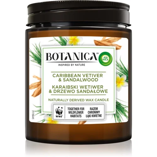 Air Wick Botanica Caribbean Vetiver & Sandalwood dišeča sveča 205 g