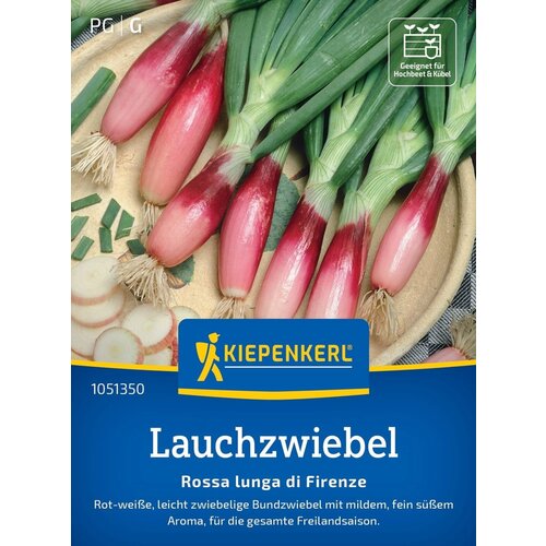 KIEPENKERL Pomladna čebula "Red of Firence" - 1 pkt. Cene