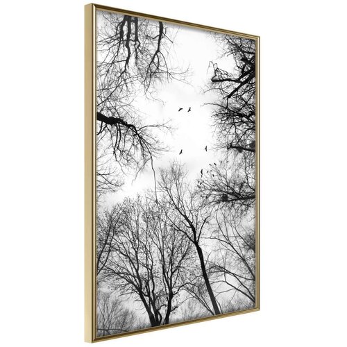  Poster - Treetops 30x45 Slike