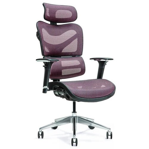 BEMONDI Ergonomic office chair ERGO 600 plum Cijene