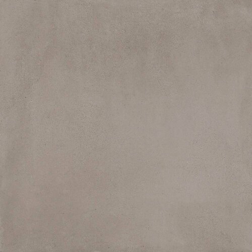 Pro Taupe 60x60 Cene