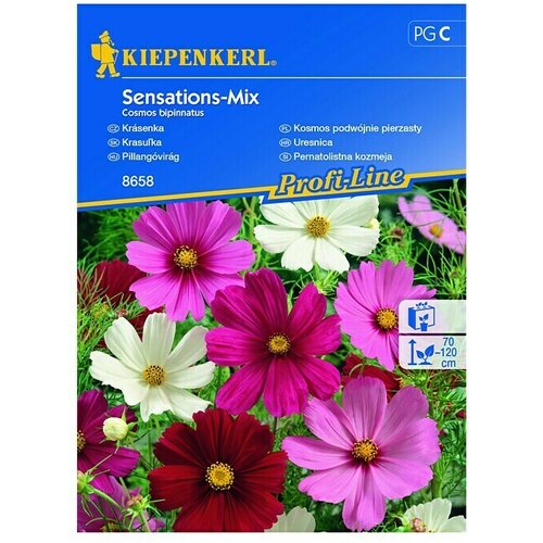 KIEPENKERL Profi-Line Sjeme cvijeća Uresnica Sensations-Mix (Cosmos bipinnatus, Raznobojno) Cijene