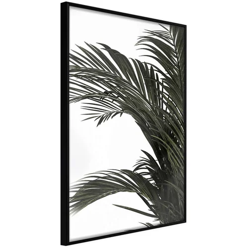  Poster - Jungle Scent 20x30