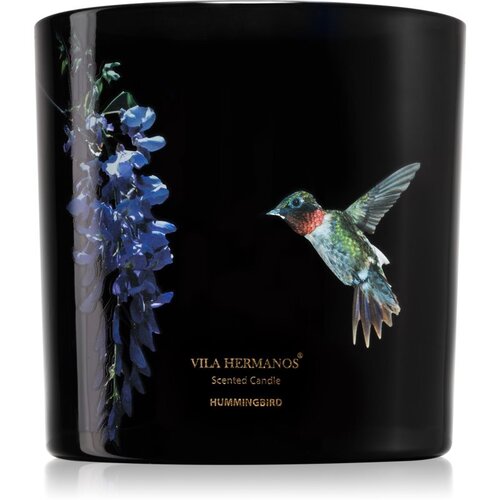 Vila Hermanos Jungletopia Hummingbird mirisna svijeća 620 g Cijene