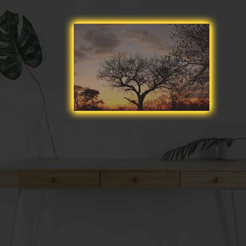 Wallity Slika sa LED osvetljenjem 4570DHDACT-046, 45x70 cm Cene