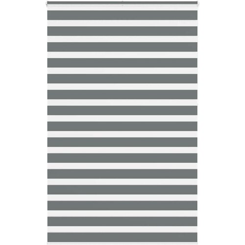 vidaXL Zebra senčilo temno sivo 150x230 cm širina blaga 145,9 cm poliester, (5000297779) Cene