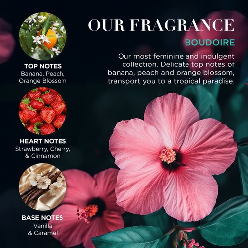 Baylis &amp;amp; Harding Boudoire Tropical Paradise darilni set kovinska &amp;scaron;katla Slike