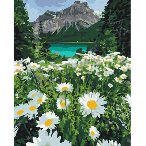  Slika za samostalno slikanje - Chamomiles in a mountain valley 40x50 Slike