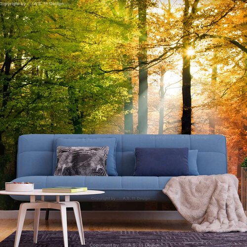  Samoljepljiva foto tapeta - Forest Colours 98x70 Slike
