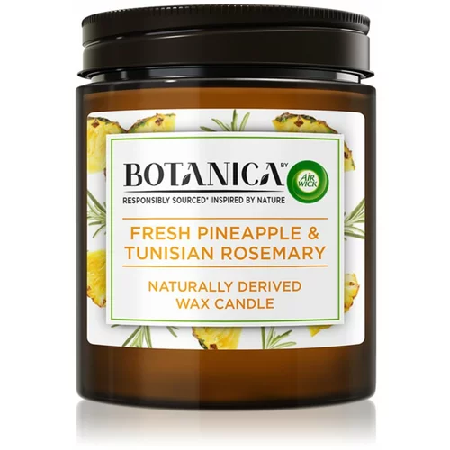 Air Wick Botanica Fresh Pineapple & Tunisian Rosemary mirisna svijeća 205 g