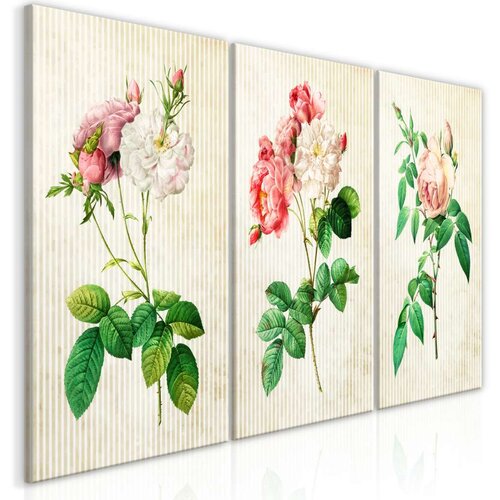  Slika - Floral Trio (Collection) 120x60 Slike
