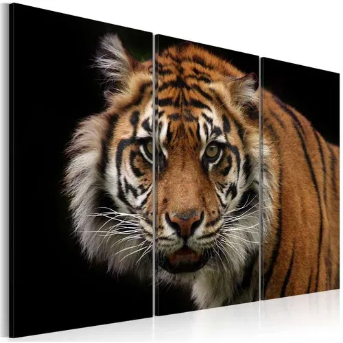  Slika - A wild tiger 90x60