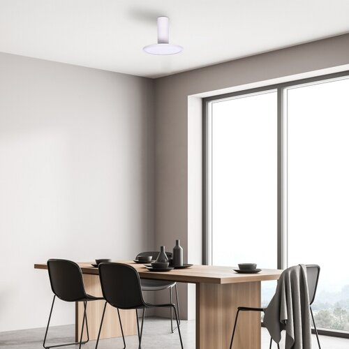 Rabalux spot lampa Ovidia, Nadgradna, Podesiva, LED, 20W, 3000K, Bela Cene