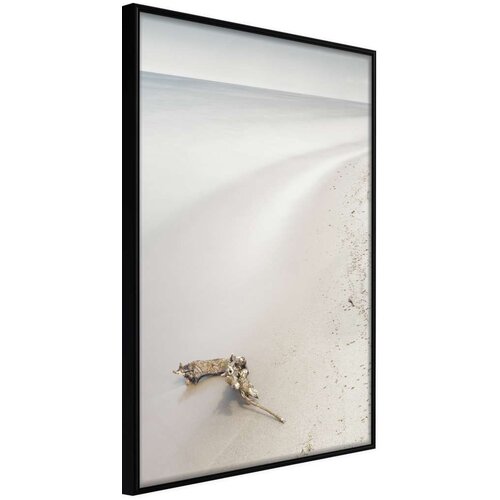  Poster - Shore 30x45 Slike