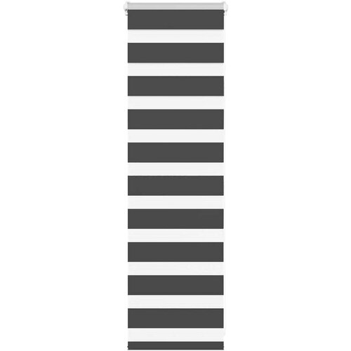 vidaXL idaXL Zebra senčilo črna 55x100 cm tkanina širina 50,9 cm poliester Cene